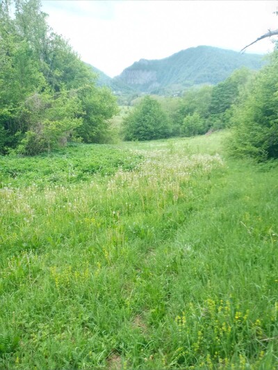 Plac u Moračko Trebaljevo, Kolašin