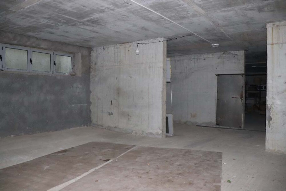 Business premise - red solitaires-2